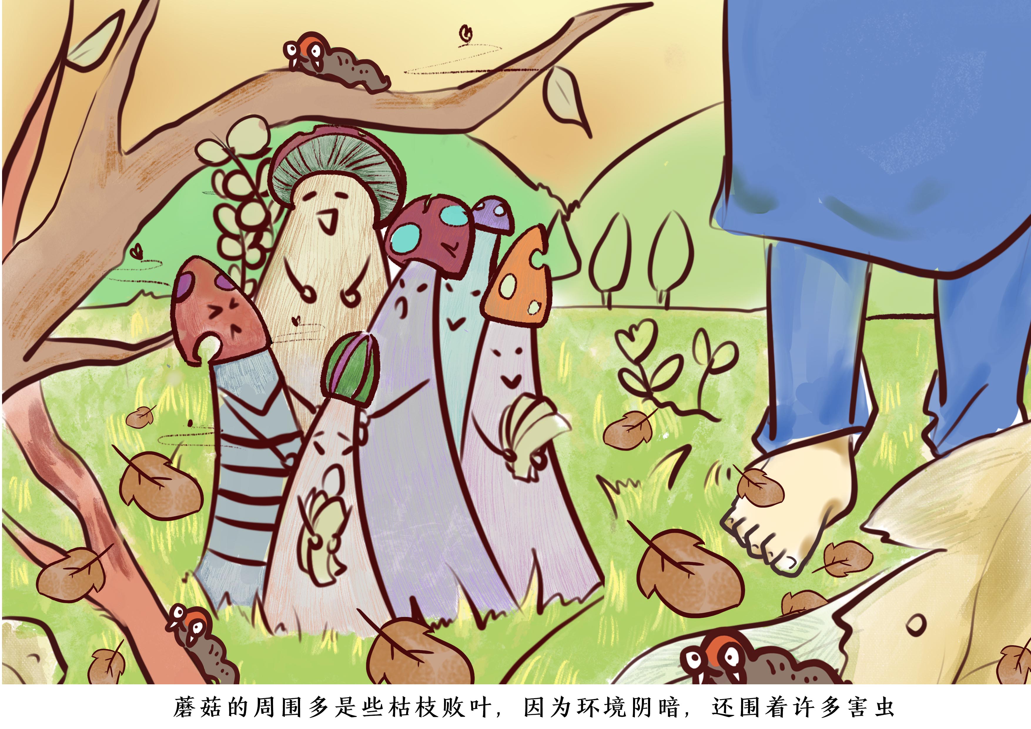 ڲ(yibo)-ios/׿ͨðapp